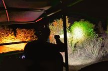 Discover the Night – Guided 4x4 Safari + Stargazing *D-F-ES