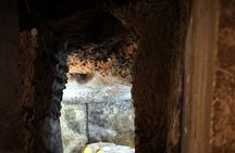 Ercolano Vineyards Guided Wine Tasting Experience with Brunch