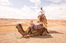 Luxury Dinner and Camel Ride in Agafay Desert