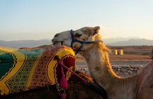 Luxury Dinner and Camel Ride in Agafay Desert
