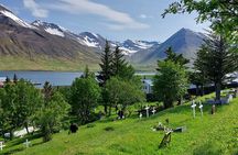 Akureyri Siglufjörður Half Day Tour to the Arctic Coastline