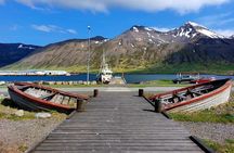 Akureyri Siglufjörður Half Day Tour to the Arctic Coastline