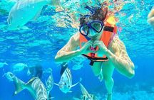 Zanzibar snorkeling + sandbank picnic Pungume Island 