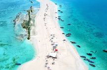 Zanzibar snorkeling + sandbank picnic Pungume Island 
