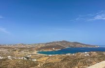 4 Hour Private Island Tour in Mykonos - Mykonos in a day