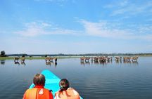 Lake Naivasha Boat ride and Crescent island walk from Nairobi