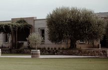 Visit Pulenta Estate Winery and Gourmet Lunch at Susana Balbo