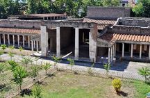 Oplontis Small Group Tour with an Expert Archaeologist