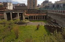 Oplontis Small Group Tour with an Expert Archaeologist