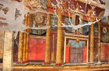 Oplontis Small Group Tour with an Expert Archaeologist