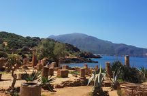 Explore the Ruins of Tipaza and Cherchell