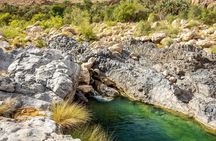 Private Overnight to Wadi Al Arbeieen Hiking and Swimming