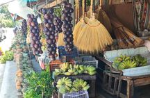 Bites and Sights: Tagaytay Food and Nature Excursion from Manila