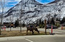 Xclusive Wonders of Waterton Your Private Journey of Nature’sBest