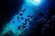 Sea Lion Snorkeling & Island Beach Picnic – Espíritu Santo Tour