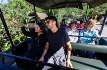 Canopy Los Veranos Zipline
