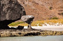 Espíritu Santo and Balandra Beach Combo Tour: Sea Lion Snorkeling