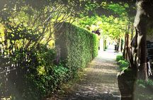 Gossip and Grandeur: Stroll through New Orleans' Garden District 
