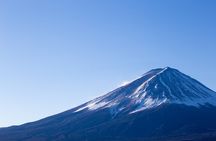 Seasonal Mt. Fuji Scenic Views, Fruit Picking and Ropeway Ride