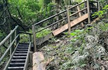 Port Macquarie day tour to Ellenborough Falls & Comboyne Rock 