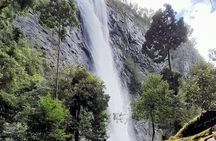 Port Macquarie day tour to Ellenborough Falls & Comboyne Rock 