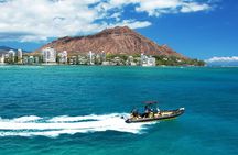 Whale Watching Adventure -Speed Boat & Small Group