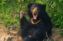 Yala National Park - Full Day Safari (04:30 am - 06:00 pm)