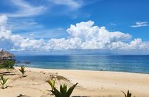 Ocean Discovery: Cham Island Snorkeling from Hoi An/Da Nang