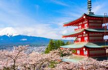 Exclusive Day Tour to Mount Fuji and Oshino Hakkai from Shinjuku