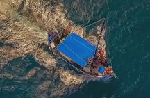 Boat Trip and BBQ from Samos