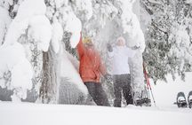 Arctic Snowshoeing Trip Wildness in Rovaniemi