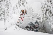 Arctic Snowshoeing Trip Wildness in Rovaniemi