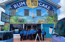 1.5 Hour Bahamas Special City Tour and Nassau City Tour Package