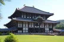 Nara Early Bird Tour (Kyoto Departure Option Available)