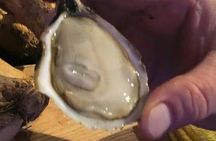 Island Tour with Oyster Tasting & Merroir Experience P.E.I.