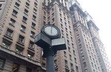 São Paulo Must-see Attractions Walking Tour with a Guide