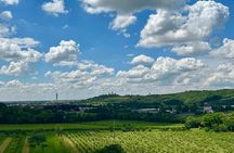 Italian cooking lesson in the hills of Verona