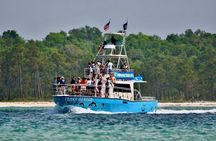 Shared Dolphin Cruise in Pensacola Beach | Frisky Mermaid
