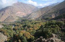 Imlil Day Trip: Atlas Mt, Berber Villages & Camel Ride, Quad bike