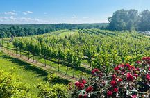 Dahlonega Wine & Dine Private Tour from Atlanta