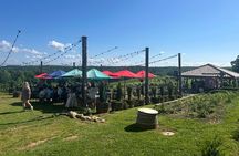 Dahlonega Wine & Dine Private Tour from Atlanta