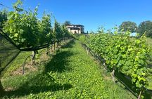 Dahlonega Wine & Dine Private Tour from Atlanta
