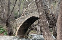 Troodos Mountains Jeep Tour with Wine Tasting