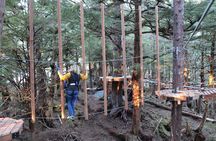 Aerial Adventure Ropes Course in Sitka