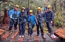 Aerial Adventure Ropes Course in Sitka