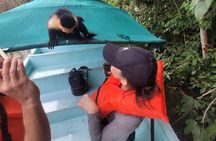 Guided Tour in Sloth Sanctuary and Monkey Island