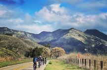 Wine Country E-Bike Guided Tour - w/o Lunch