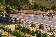 Wine Country E-Bike Guided Tour - w/o Lunch