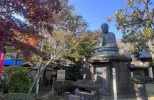 Ueno and Yanaka Culture Art Walking Tour in Old Tokyo