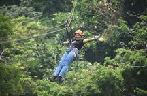Roatan: Zipline & Snorkel Combo